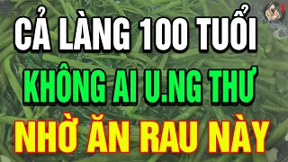 BS Cảnh Báo: Không U.NG THƯ, Bệnh Tật Nhờ Rau "Rẻ Tiền", Biết Mà Ăn Sớm Càng Sống Thọ! | THCS