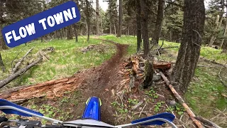 Flow Town USA - 4 Stroke Heaven