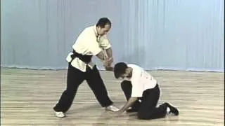 Tai Chi, Тай чи Ч31 Xiao Chan Zhi, дожим кисти