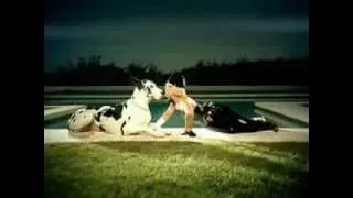 Леди Гага - Водку пей