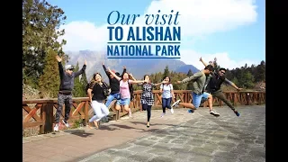 Visit to Alishan National Forest