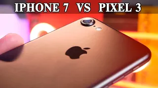 Сравнение камеры iPhone 7 VS Google Pixel 3. Camera test