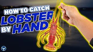 LOBSTERING IN CALIFORNIA - How to Catch Lobster by Hand [Catch & Cook]