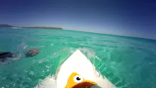 Three Second Memories: Summer GoPro Surf with Goldfish