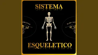 Sistema Esquelético