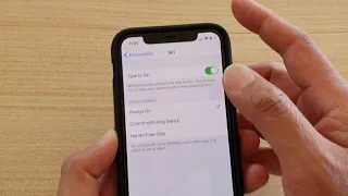 iPhone 11 Pro: How to Enable / Disable Type to Siri