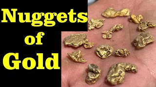 RECORD BREAKING Gold Nuggets Found - See How You Can Do it Too