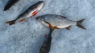 Пос. Таежный, Богучанское водохранилище. Апрель 2017 год.