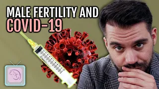 Male fertility, Covid-19 and Covid vaccination. Your questions answered