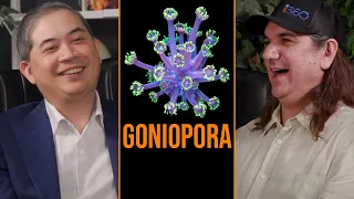 Ryan Grills Than from Tidal Gardens on His Favorite Coral. Time To Learn About Goniopora!