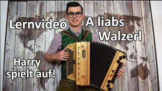 A liabs Walzerl | Lernvideo #2 | GCFB | Harry spielt auf!