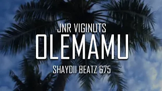 OLEMAMU || @jnrvigi_official3479 || SHAYDII BEATZ 675 || 2023 REMIX🇵🇬