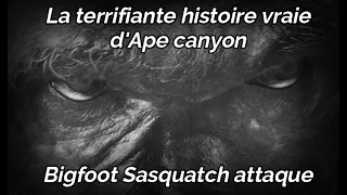 HISTOIRE VRAIE ET TERRIFIANTE DE BIGFOOT