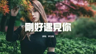 李玉剛 - 剛好遇見你『因為我剛好遇見你 留下足跡才美麗，風吹花落淚如雨 因為不想分離。』【動態歌詞MV】