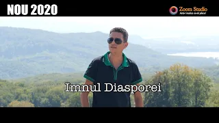 Marian Hulpus - Imnul Diasporei (Oficial Video) | NOU 2020