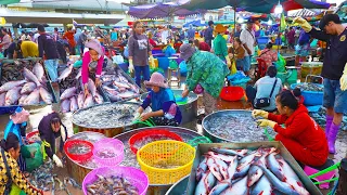 Best Distribution site @ Chhbar Ampov Early Morning -  Alive fishes, Prawn, & More