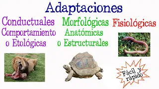 🐝¿Qué es Adaptación? Tipos de Adaptación🐢 [Fácil y Rápido] | BIOLOGÍA |