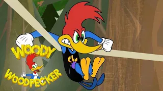 Woody and Wally compete in the forest | Woody Woodpecker