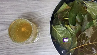 How To Prepare Avocado Tea | Avocado leaves tea recipe | Benefits of avocado leaves tea