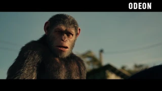 Andy Serkis talks about playing Caesar in Planet of the Apes