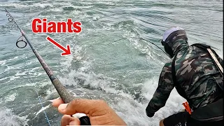 This Type of Fishing Happens Just Once a Year! (Sebastian Inlet Mullet Run)