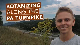 Botanizing Along The Pennsylvania Turnpike