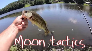 How to catch more fish on different moon phases.