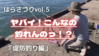 はらさづりvol.5★堤防釣り編！嘘でしょっ！？堤防にこんなのいるの！？