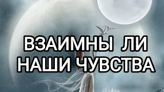 Взаимны ли наши чувства. Таро сегодня