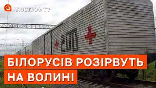 БІЛОРУСАМ КІНЕЦЬ: зроблять один крок і їх всіх покладуть на Волині / Поцелуйко / Апостроф тв