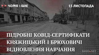 Коронавірус у Львові, Княжицький і Брюховичі, відновлення навчання | Чорне і Біле за 15 листопада