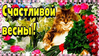 🌞🥀Счастливой весны!🌞🌼Красивое музыкальное пожелание🌞Доброго  утра  благословенного  дня!