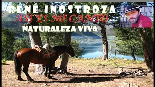 René Inostroza - Así es Mi Canto - Naturaleza Viva