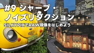 SILKYPIXでRAW現像をはじめよう #9 シャープ・ノイズリダクション