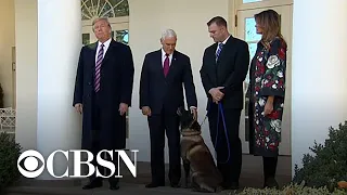 Trump honors military dog at White House