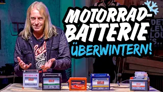 So bringst du DEINE Batterie heil über den WINTER!