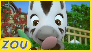 Prends soin de la nature avec ZOU | Compilation Spéciale | 1H | ZOU en français 🦓 | Dessins animés