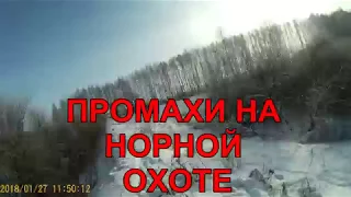 досадные промахи на норной охоте с ягдтерьером.