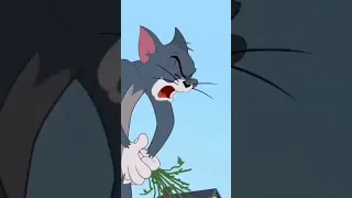 Tom and Jerry cartoon network Hindi cartoon cartoon video animation. #shorts #amazing