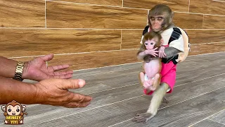 YiYi는 할아버지에게 YinYin을 찾아온 원숭이 Yumy를 돌봐달라고 부탁했습니다
