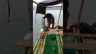 mancing naik rakit bambu rasa nya nayaman sekali