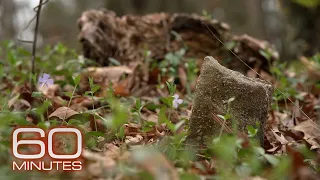 The Millers find where their ancestors were likely buried at Sharswood