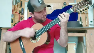 Viola de Jacarandá com Tampo de Cedro Canadense - Viola Luciano Braga Luthier