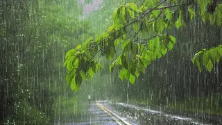 Som real de Chuva na folhagem 🌧 Barulho de Chuva com Raios e Trovões para dormir - Rain sounds