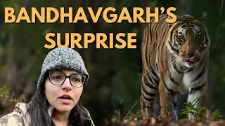 A Sudden Encounter with LOUDLY GROWLING Tiger & Leopard at Bandhavgarh | ATR DAILY VLOG -  37