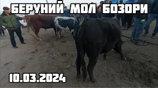 БЕРУНИЙ МОЛ БОЗОРИ 1-КИСМ 10.03.2024