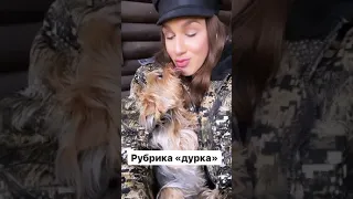 Жидковский с собакой на даче