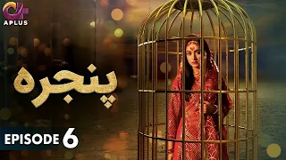 Pakistani Drama | Pinjra - Episode 6 | Aplus Gold | Yumna Zaidi, Nauman Aijaz | CZ1O