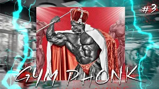 AGGRESIVE and BRAZILIAN  PHONK in one playlist | GYM PHONK #3