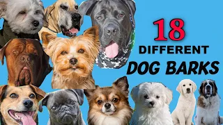 Dogs Barking compilation . 18 different dogs, 18 different barks